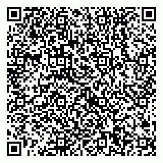 vCard 79538204738