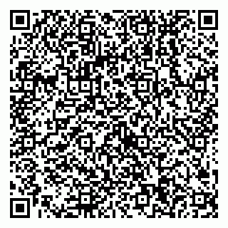 vCard 79538204740