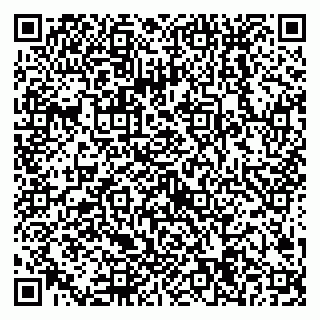 vCard 79538204753
