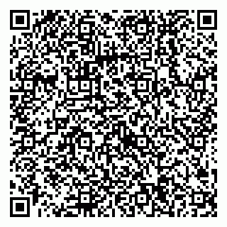 vCard 79538204773