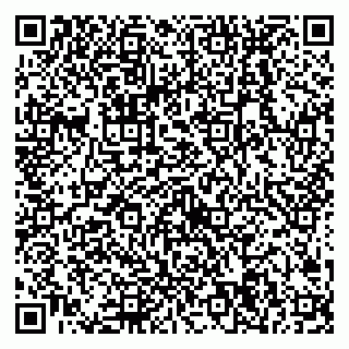 vCard 79538204803