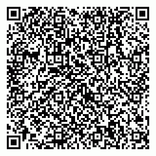 vCard 79538204804