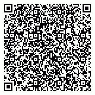 vCard 79538204811