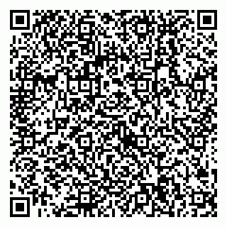 vCard 79538204813