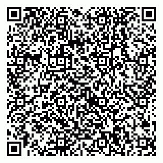 vCard 79538204823