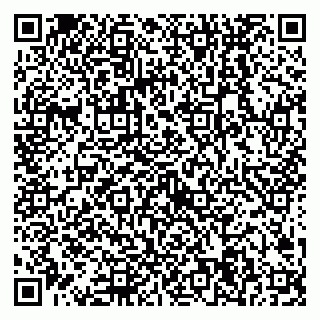 vCard 79538204861