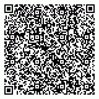 vCard 79538204869