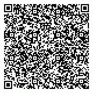 vCard 79538204880