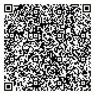 vCard 79538204887