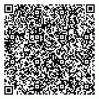 vCard 79538204910