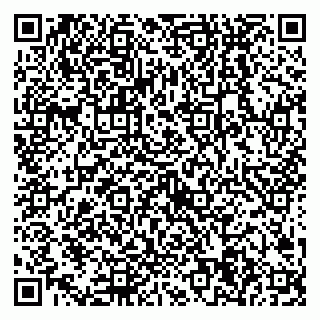 vCard 79538204920