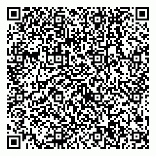 vCard 79538204921