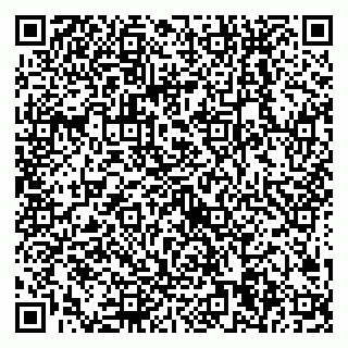vCard 79538204938