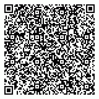 vCard 79538204967