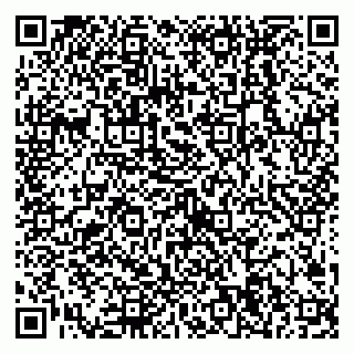 vCard 79538204983