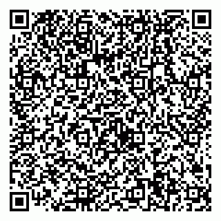 vCard 79538204989