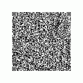 vCard 79538205017