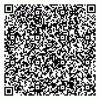 vCard 79538205024