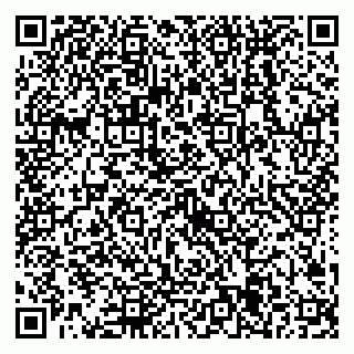 vCard 79538205033