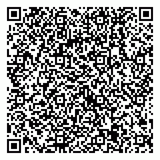vCard 79538205074