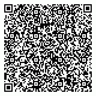 vCard 79538205078