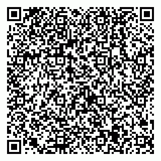 vCard 79538205082