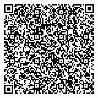 vCard 79538205083