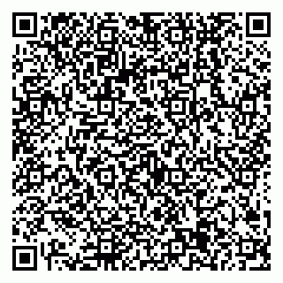 vCard 79538205166