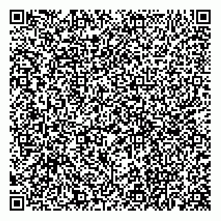 vCard 79538205167