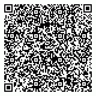 vCard 79538205178