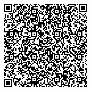 vCard 79538205181