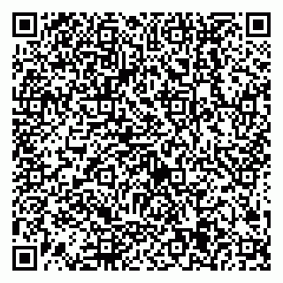 vCard 79538205182