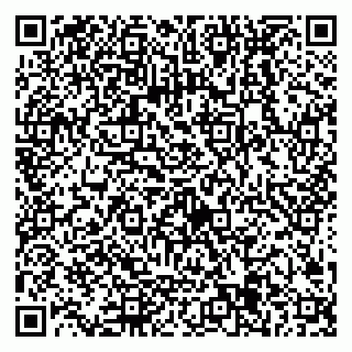 vCard 79538205187