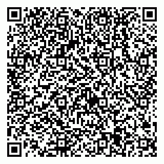 vCard 79538205191