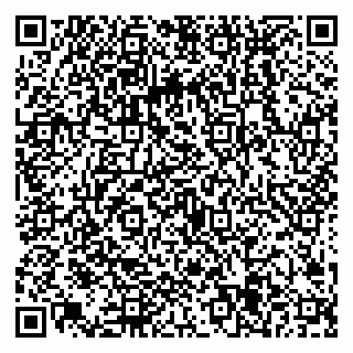 vCard 79538205193