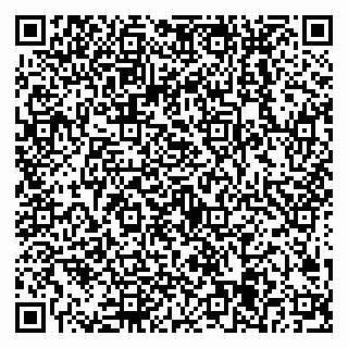 vCard 79538205201