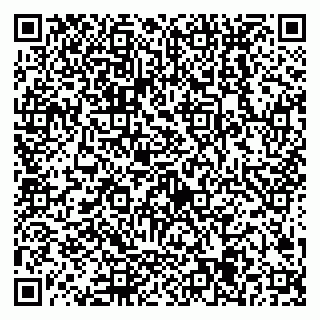 vCard 79538205203