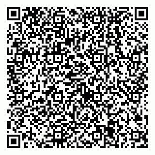 vCard 79538205205