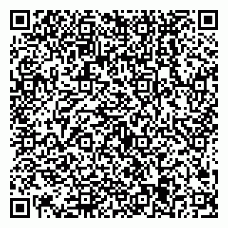 vCard 79538205221