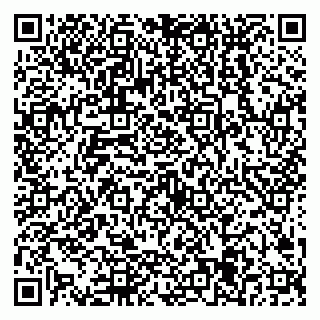 vCard 79538205231