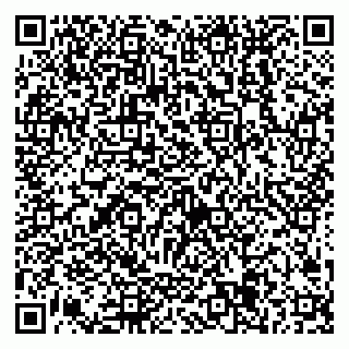 vCard 79538205237