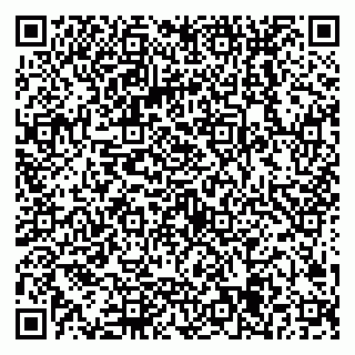vCard 79538205243