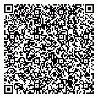vCard 79538205263