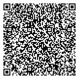 vCard 79538205264