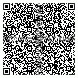 vCard 79538205271