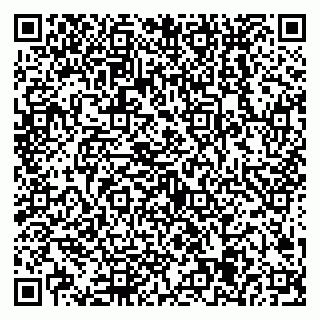 vCard 79538205272
