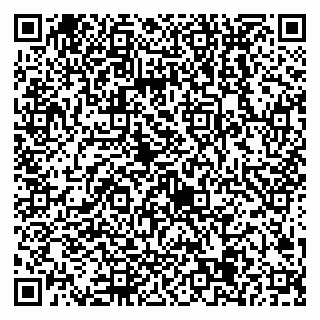 vCard 79538205286