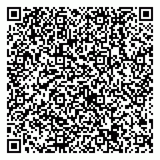 vCard 79538205287