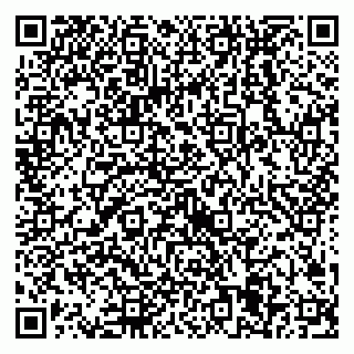 vCard 79538205288