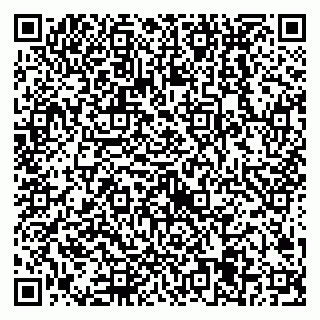 vCard 79538205289